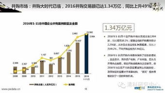 2016年中國股權投資市場回顧與展望 融資咨詢服務的機遇與挑戰(zhàn)